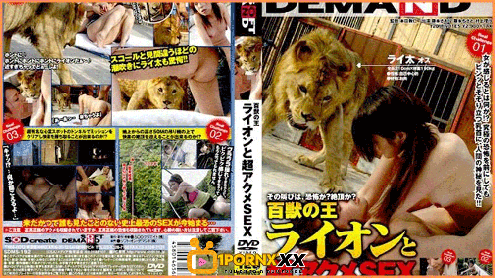 SDMS-192 King Lion 3